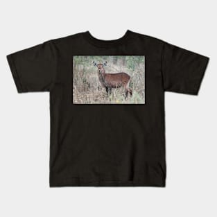 Defassa Waterbuck, Serengeti National Park, Tanzania. Kids T-Shirt